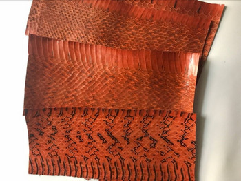 Ρολόι Straps Leather Γνήσιο Snake Skin Κομμάτια 5cm x 20cm