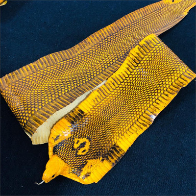 ολόκληρα τεμ Colorful Grain Γνήσιο δέρμα φιδιού για DIY χειροποίητη ζώνη παπουτσιών τσαντάκι snake leather πάχος 0,1-0,3mm