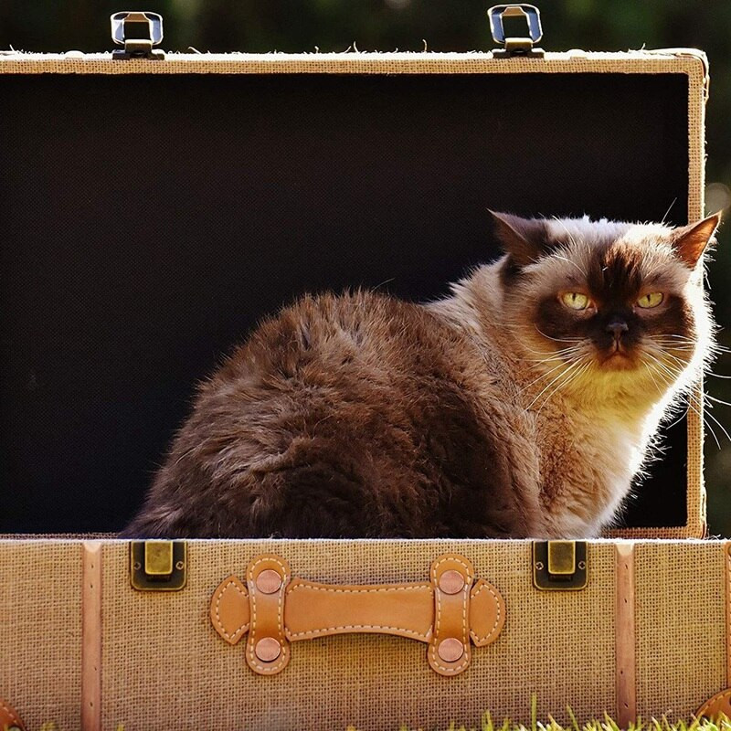 50 de seturi de nituri și bavuri de cupru, portofele de curea din piele, nituri de cupru din piele, articole de artizanat din piele (9/16 inchi)