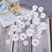 5tk DIY Väikesed päikeselilled karikakra tikkimisplaastrid rõivaste triikimiseks riietel Kleebis Triip triigitav aplikatsiooniaukude parandamine