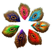 5 tükki litritega tikandid plaastrid, triigitud 3D pealekandtud pits, paabulinnu saba, mitmevärvilised lillekaunistused, 10,5*7 cm isetehtud