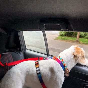 Μονόχρωμη ζώνη ασφαλείας αυτοκινήτου δύο σε ένα κατοικίδιο ζώο νάιλον λουρί με λουρί πίσω καθίσματος Ρυθμιζόμενη ζώνη ασφαλείας για σκύλους με κολάρο για κατοικίδια