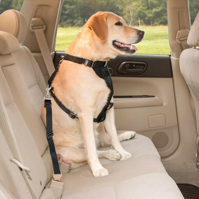 Centura de siguranță reglabilă pentru mașini pentru animale de companie pentru câini, pisici, nailon, câini, mijlocii, mici, mijlocii, cleme de călătorie, ham de siguranță, lesă, accesorii pentru guler pentru câini
