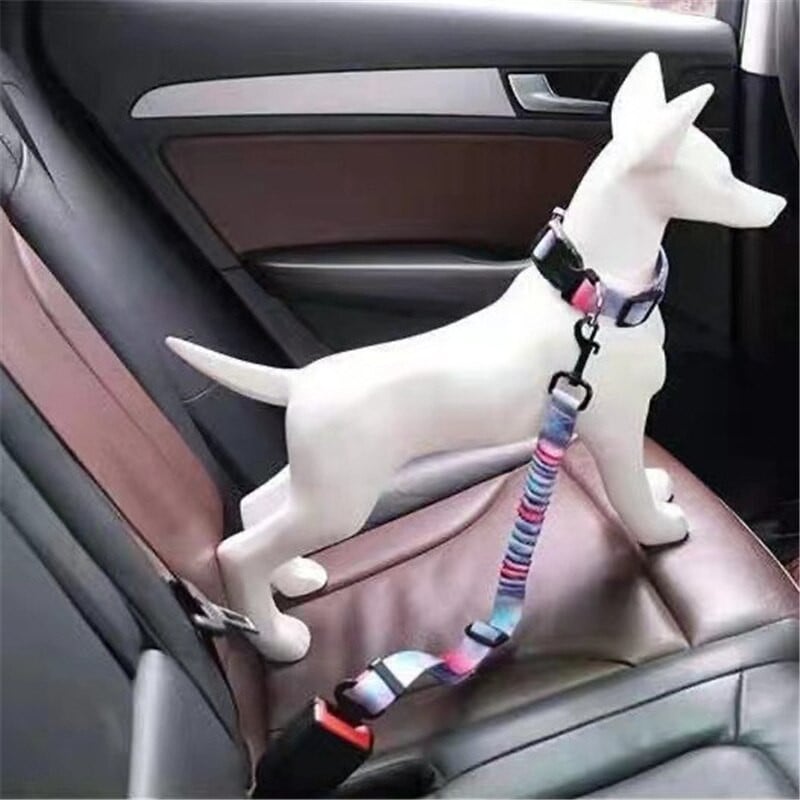 Περιλαίμιο και σετ λουριών Universal για σκύλους γάτας Ρυθμιζόμενο λουρί αυτοκινήτου με τηλεσκοπικό σχοινί ρυμούλκησης για στερέωση ζώνης εξωτερικού ταξιδιού Προϊόντα για κατοικίδια