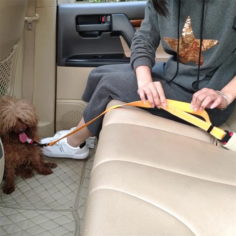 Ζώνη ασφαλείας αυτοκινήτου για σκύλους Ζώνη ασφαλείας για κουτάβι Σχοινί πρόσφυσης νάιλον πτυσσόμενο κατοικίδιο ζώο με αυτόματο σταθερό σύστημα Riband Προμήθειες για μικρά ζώα