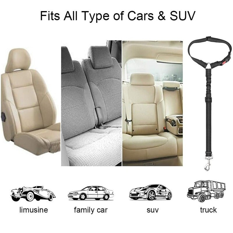 Reguleeritav lemmiklooma auto turvavöö turvavöö kutsika turvalisus Elastne Bungee Connect koerarakmed sõidukis reisikoerte koerte tarvikud