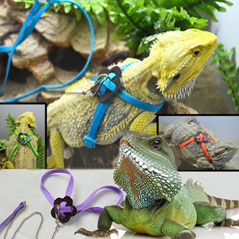 Lizard Harness Πρακτικό Χρήσιμο Λουρί Lacertid Ασφαλές Βολικό Λουρί Lacertid