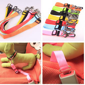 Εκρηκτική μόδα κατοικίδιο σκύλος γάτα εξωτερικού εμπορίου ζώνη αυτοκινήτου αυτοκινήτου 2,5cm υψηλής ποιότητας υλικά αξεσουάρ εμπόρευμα ζώο ρυθμιζόμενο