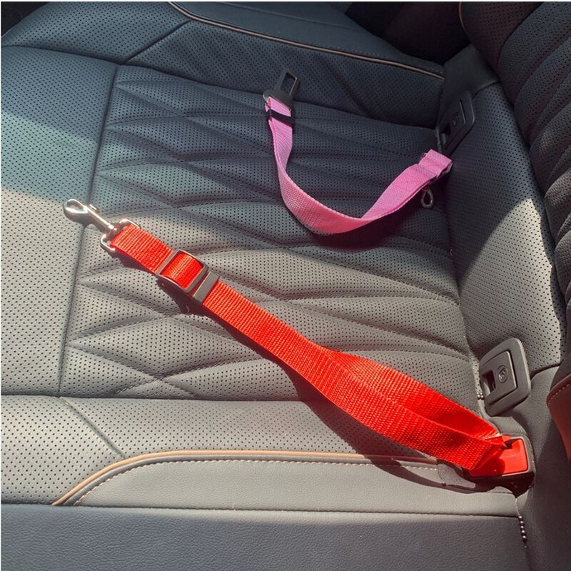 Εκρηκτική μόδα κατοικίδιο σκύλος γάτα εξωτερικού εμπορίου ζώνη αυτοκινήτου αυτοκινήτου 2,5cm υψηλής ποιότητας υλικά αξεσουάρ εμπόρευμα ζώο ρυθμιζόμενο