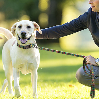 Εξατομικευμένο κολάρο σκύλου με λουρί Nylon Προσαρμοσμένα περιλαίμια αναγνώρισης κατοικίδιων ζώων Πολύχρωμα εμπριμέ λουρί για βόλτες για μικρά μεσαία μεγάλα σκυλιά