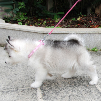 Куче котка яка каишка регулируема яка повод със звънец за кученце малко куче разходка на открито чихуахуа териер шнауцер