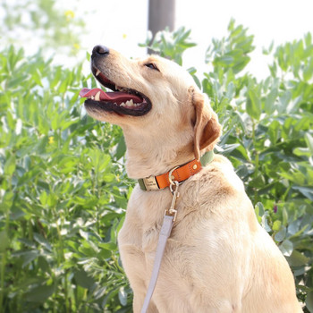 Προσαρμοσμένο σετ λουριών με κολάρο σκύλου Νάιλον δερμάτινο κολιέ με ταυτότητα κατοικίδιων ζώων Αντι-χαμένη πόρπη με σχοινί για μικρά μεγάλα σκυλιά πατημασιά