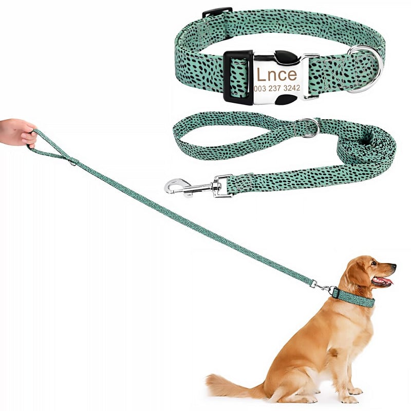 Personalizirana pločica s imenom Id Ogrlica za kućne ljubimce Povodci Ogrlica za pse Prilagođena povodac za štene, mačku Povodac Ogrlica za kućne ljubimce Set povodaca