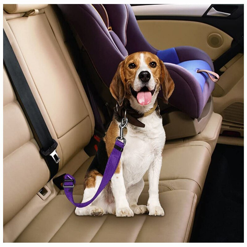 Väike, keskmine lemmiklooma koer kass auto turvavöö koera tarvikud Reguleeritavad rakmed Juhtrihm reisiklamber Kutsika kaelarihm lemmikloomatarbed