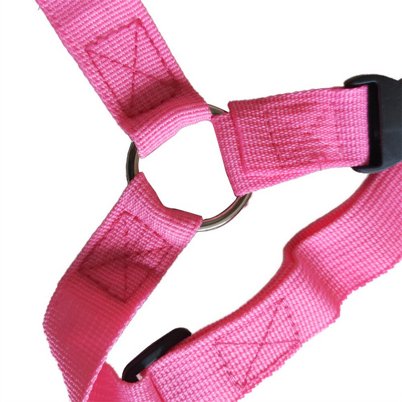 Reguleeritav auto turvavöö lemmikloomatooted Universaalne praktiline kutsika turvavöö reisiklambriga rihm Juhtmed Kassikoera turvarihmad jalutusrihm