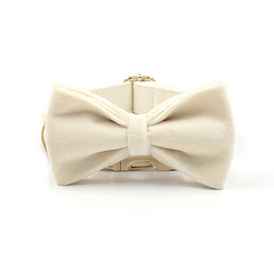 Κρεμ βελούδινο κολάρο κατοικίδιων για μικρούς μεσαίους μεγάλους σκύλους Χοντρό λουρί σκύλου με μαλακή επένδυση Εξατομικευμένες χρυσές πόρπες Πολυτελές σετ λουριών