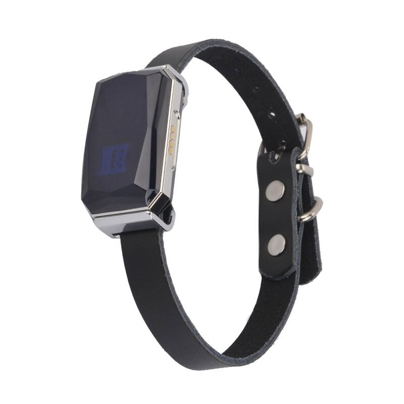 G12 GPS koera kaelarihm Nutikas multifunktsionaalne lemmikloomaotsija Universaalne veekindel GPS-i asukoha kaelarihm kassipoegade kasside jaoks Asukoha asukoht