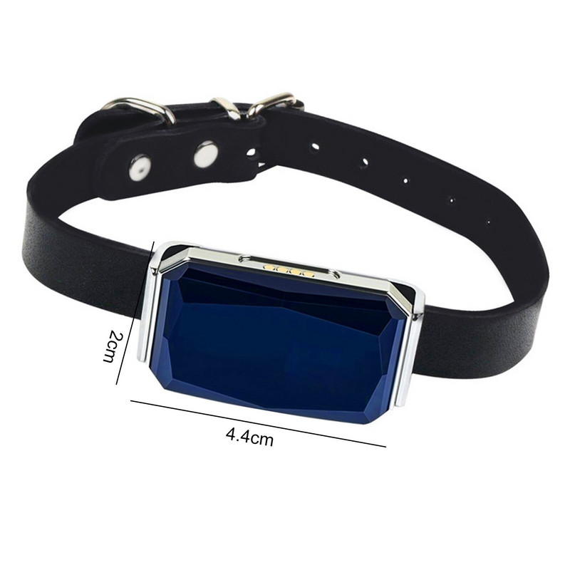 1 set Izvrsni uređaj za praćenje kućnih ljubimaca Lokator kućnih ljubimaca u plavoj boji Virtualna ograda Precizan položaj Pet, pas, mačka Lokacija, Ogrlica za praćenje aktivnosti