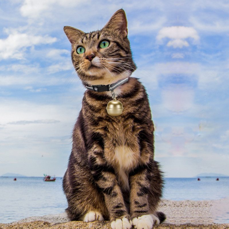 Localizator GPS cu clopoței inteligent pentru animale de companie Mini localizator Bluetooth impermeabil, anti-pierdere, IP67, guler electronic de poziționare a gardului, rezistent la apă