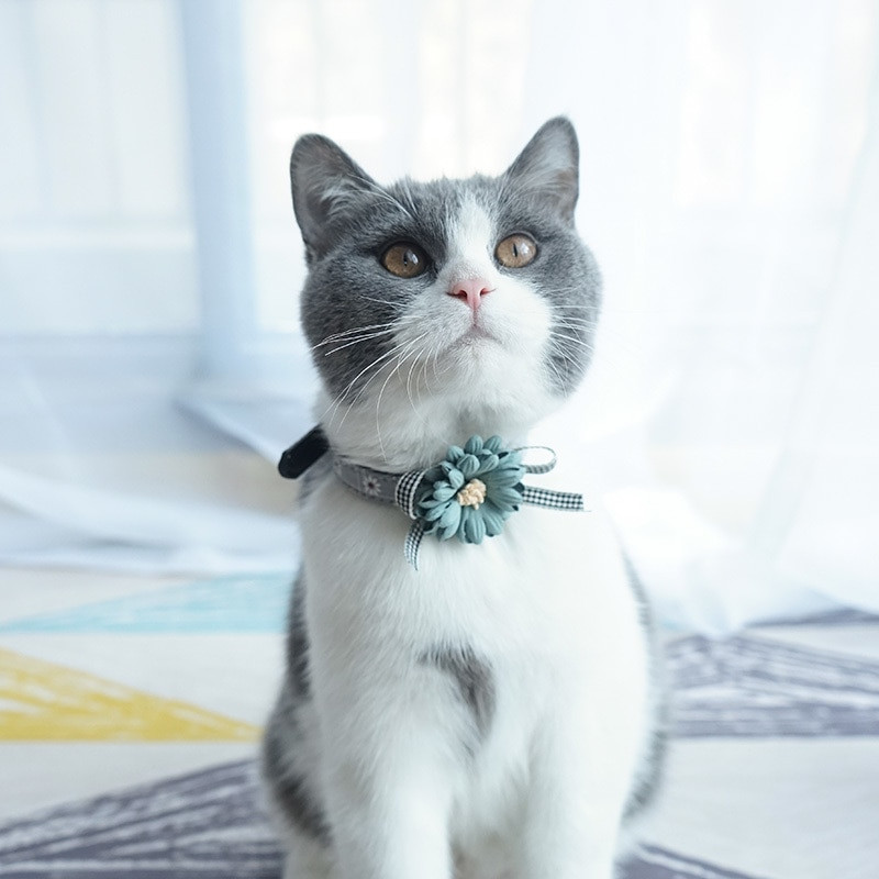 Lemmiklooma koera kaelarihm lill kutsikas kass koera kaelarihma jalutusrihma komplekt Reguleeritavad kaelarihmad väikestele keskmistele koertele Nahast kaelakee Lemmikloomatarvikud