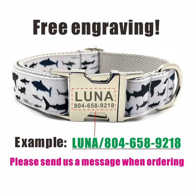 Isikupärastatud lemmiklooma kaelarihm merekala Vastupidav kohandatud kutsika nimesilt Reguleeritav Big Small Sharks Grey Basic koera kaelarihmade jalutusrihma komplekt