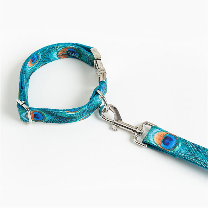 Guler personalizat pentru animale de companie, gravură fără plăcuță personalizată pentru cățel, etichetă de identificare, zgarda de bază reglabilă din pene de păun, set de lesă de plumb