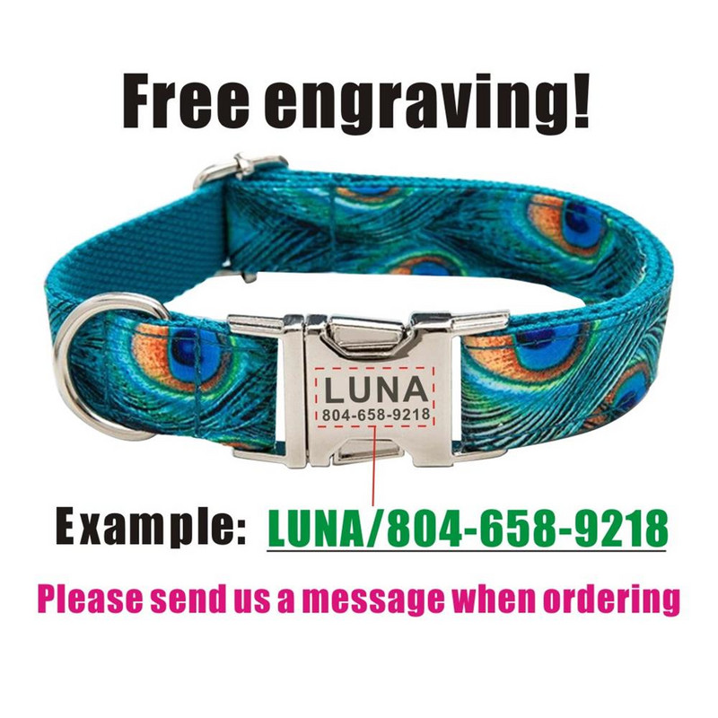 Guler personalizat pentru animale de companie, gravură fără plăcuță personalizată pentru cățel, etichetă de identificare, zgarda de bază reglabilă din pene de păun, set de lesă de plumb