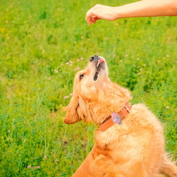 Silicone Pet Dog Κάλυμμα GPS Tracker Anti-Lost Location Record Tracker για Αξεσουάρ προστατευτικού καλύμματος θήκης Airtag Finder