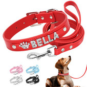 Σετ γιακά σκύλου και λουρί Εξατομικευμένο κολάρο κατοικίδιων δερμάτινο Προσαρμοσμένο κολάρο ονόματος σκύλου Ρυθμιζόμενο για Chihuahua French Bulldog