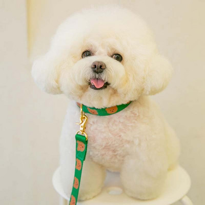 INS Lemmikloomatarbed Kass Koer Lemmik Karu Kaelarihm Tõmbeköis Armas kaelarihm Pehme ja vastupidav tõmbekoerte jalutusrihm Dekoratiivne koera kaelarihm