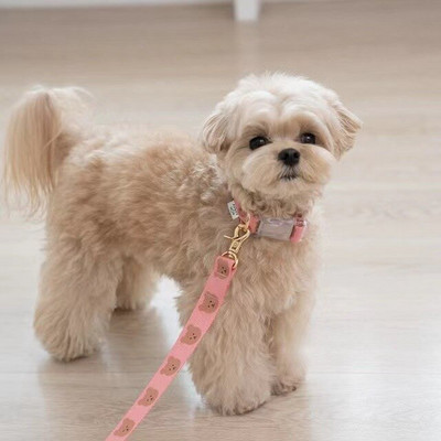 INS Lemmikloomatarbed Kass Koer Lemmik Karu Kaelarihm Tõmbeköis Armas kaelarihm Pehme ja vastupidav tõmbekoerte jalutusrihm Dekoratiivne koera kaelarihm