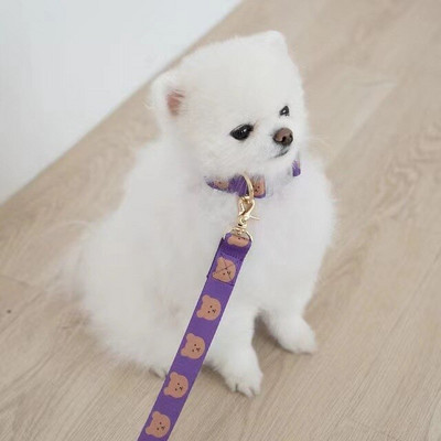 INS Lemmikloomatarbed Kass Koer Lemmik Karu Kaelarihm Tõmbeköis Armas kaelarihm Pehme ja vastupidav tõmbekoerte jalutusrihm Dekoratiivne koera kaelarihm