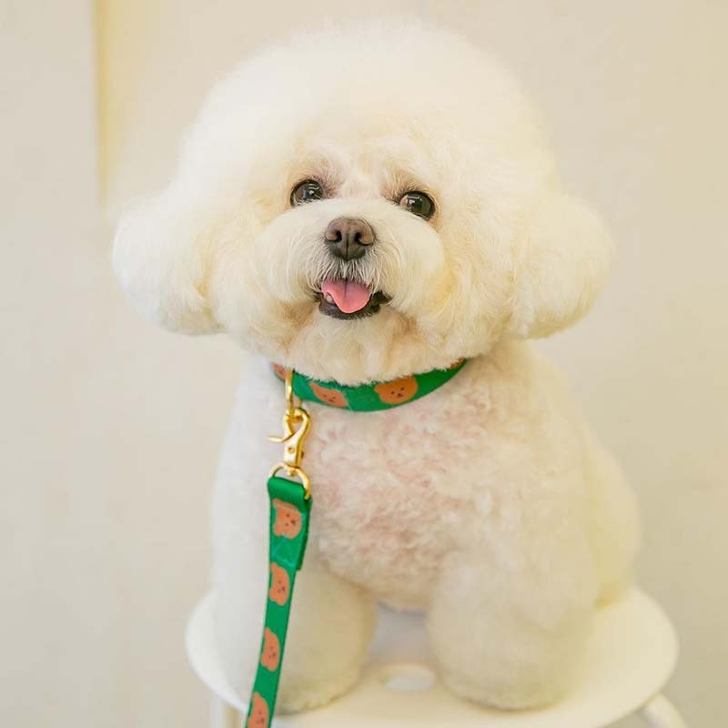 INS Lemmikloomatarbed Kass Koer Lemmik Karu Kaelarihm Tõmbeköis Armas kaelarihm Pehme ja vastupidav tõmbekoerte jalutusrihm Dekoratiivne koera kaelarihm