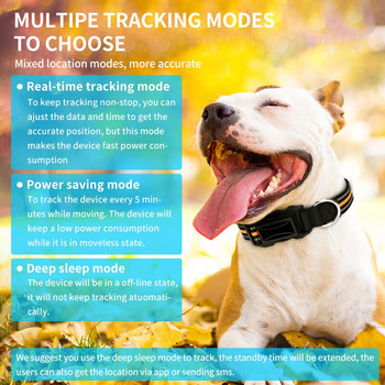 Smart Dog GPS Locator Pet Mini GPS Tracker με κολάρο μόδας για Dog Cat Tracking σε πραγματικό χρόνο Anti-Lost Δωρεάν πλατφόρμα APP