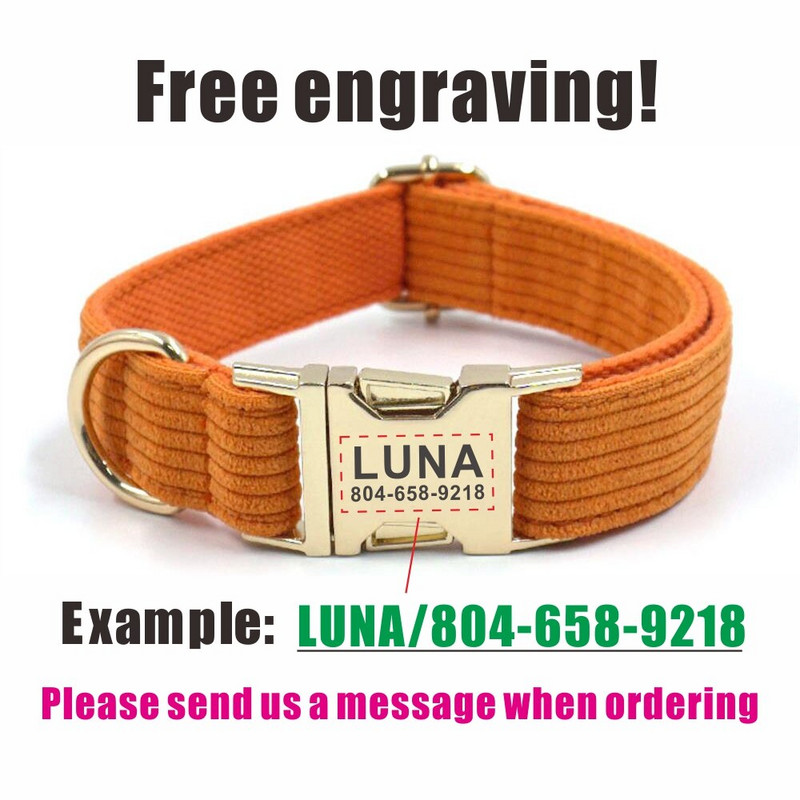 Εξατομικευμένο κολάρο σκύλου Προσαρμοσμένο κολάρο κατοικίδιων χωρίς χαρακτικό αναγνωριστικό ετικέτας ονόματος Αξεσουάρ κατοικίδιων ζώων Πορτοκαλί Σετ λουριών για κολάρο κουταβιού με χοντρές ίνες