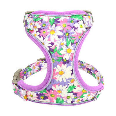 Διχτυωτό νάιλον λουρί λουριών για σκύλους με αντανακλαστικό λουρί για σκύλους με σχοινί ζώνης για μικρά μεσαία μεγάλα σκυλιά πατημασιά