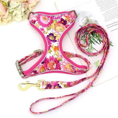 Διχτυωτό νάιλον λουρί λουριών για σκύλους με αντανακλαστικό λουρί για σκύλους με σχοινί ζώνης για μικρά μεσαία μεγάλα σκυλιά πατημασιά