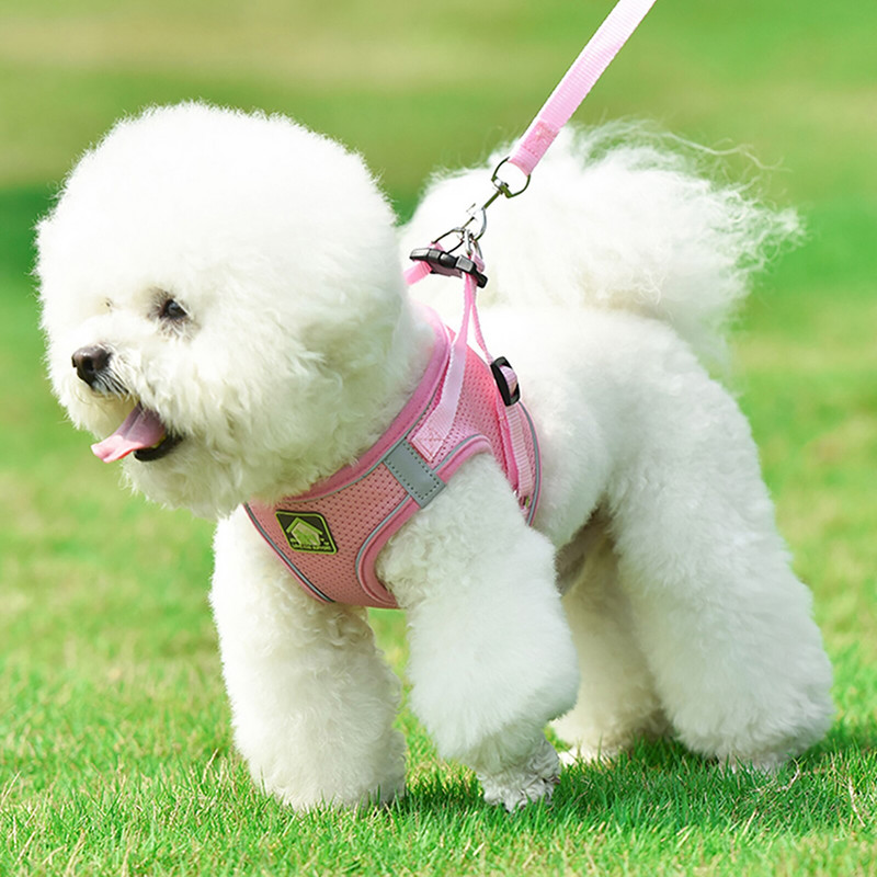 Ham reflectorizant pentru animale de companie, lesă cu plumb pentru câine, pisică, cu plasă de nailon, pentru cățeluș, chihuahua, set de lesă pentru vestă de plimbare pentru câine mic și mediu