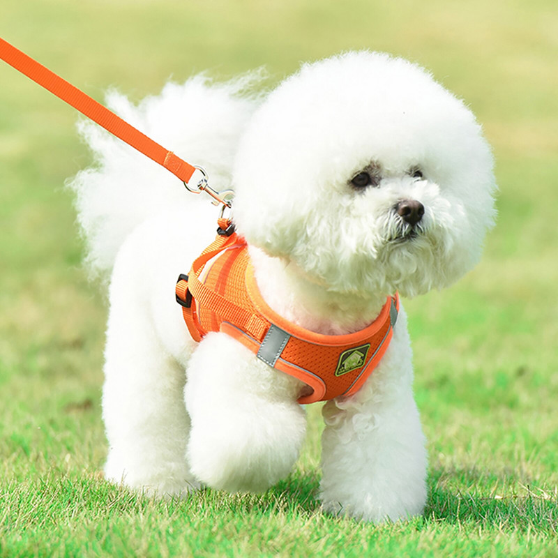 Ham reflectorizant pentru animale de companie, lesă cu plumb pentru câine, pisică, cu plasă de nailon, pentru cățeluș, chihuahua, set de lesă pentru vestă de plimbare pentru câine mic și mediu