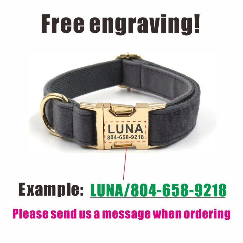Personalizirana ogrlica za pse Prilagođena ogrlica za kućne ljubimce Besplatno graviranje identifikacijske oznake s imenom Dodatak za kućnog ljubimca Siva debela baršunasta ogrlica za štene Set uzica
