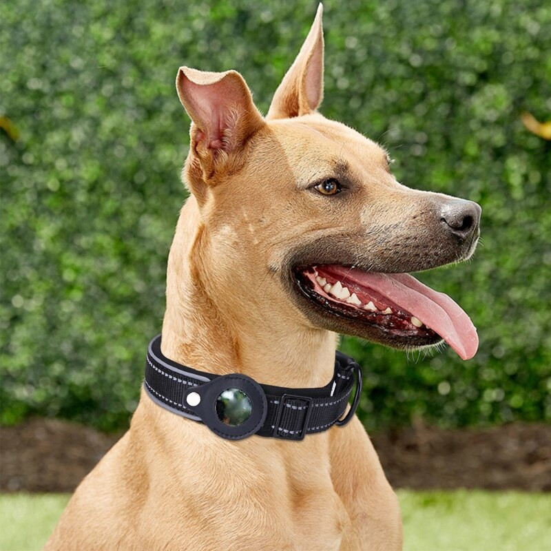 Podesiva ogrlica za mačke i kućne ljubimce Odvojivi ogrlica sa zvonom za praćenje Podesivo mače