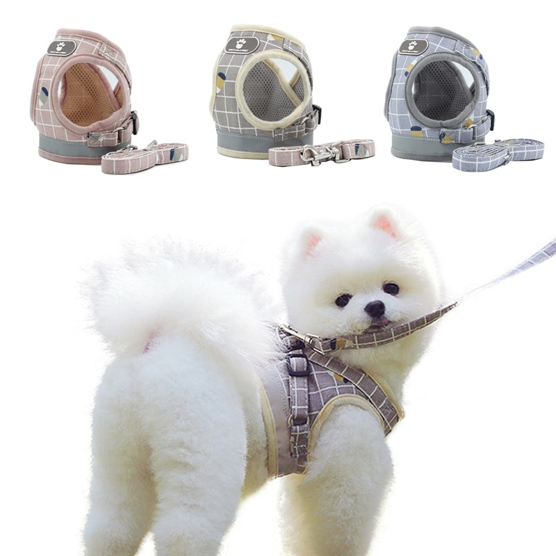 Διχτυωτό λουρί Γιλέκο κατοικίδιων ζώων Αξεσουάρ για μικρούς μεσαίους σκύλους Γάτες Ζώνες και σετ λουριών αναπνέουσα ανακλαστικά προϊόντα για γάτες