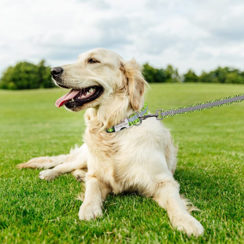 Reflektirajuća najlonska pseća ogrlica i set povodnika Personalizirane ID ogrlice za pse Povodac za hodanje za male srednje velike pse SML