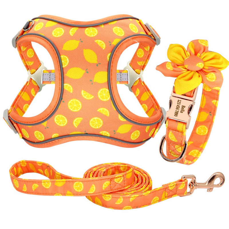 Τυπωμένο λουρί για κολάρο σκύλου Εξατομικευμένο εξατομικευμένο γιακά σκύλου Λουρί βόλτας για κατοικίδια για μεσαίου μεγέθους σκύλους Γαλλικό μπουλντόγκ