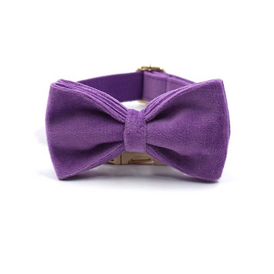 Μωβ βελούδινη ζώνη για μικρά σκυλιά Κορίτσι Προσωποποιημένο όνομα Μαλακό κολάρο κουταβιού και σετ λουριών Ρυθμιζόμενο λουρί για κατοικίδια με προστασία διαφυγής