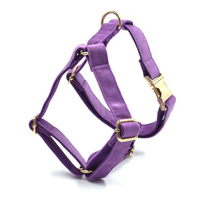 Μωβ βελούδινη ζώνη για μικρά σκυλιά Κορίτσι Προσωποποιημένο όνομα Μαλακό κολάρο κουταβιού και σετ λουριών Ρυθμιζόμενο λουρί για κατοικίδια με προστασία διαφυγής