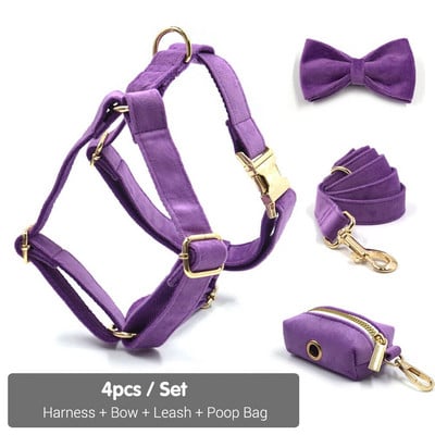 Μωβ βελούδινη ζώνη για μικρά σκυλιά Κορίτσι Προσωποποιημένο όνομα Μαλακό κολάρο κουταβιού και σετ λουριών Ρυθμιζόμενο λουρί για κατοικίδια με προστασία διαφυγής