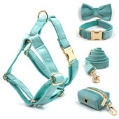 Ham Tiffany Blue pentru câine Design de lux, zgarda personalizată pentru câini, cu gravură gratuită, set de hamuri de catifea moale, reglabil, pentru animale de companie
