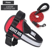 Ham personalizat pentru câini de companie și set de lesă de 1,5 m pentru plimbare noaptea, ham reglabil reflectorizant, cu articole personalizate pentru animale de companie