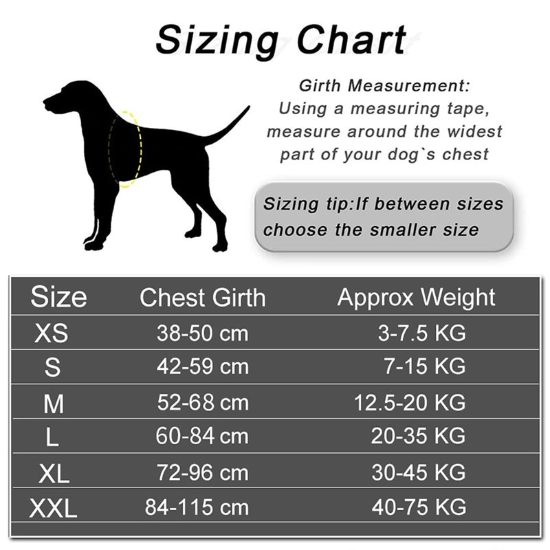 Ham personalizat pentru câini de companie și set de lesă de 1,5 m pentru plimbare noaptea, ham reglabil reflectorizant, cu articole personalizate pentru animale de companie